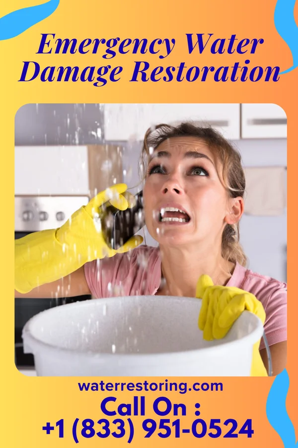 Emergency Water Damage Restoration in Irvington, VA