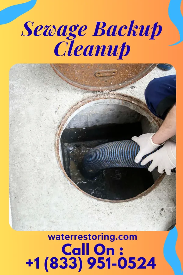 Sewage Backup Cleanup in Irvington, VA