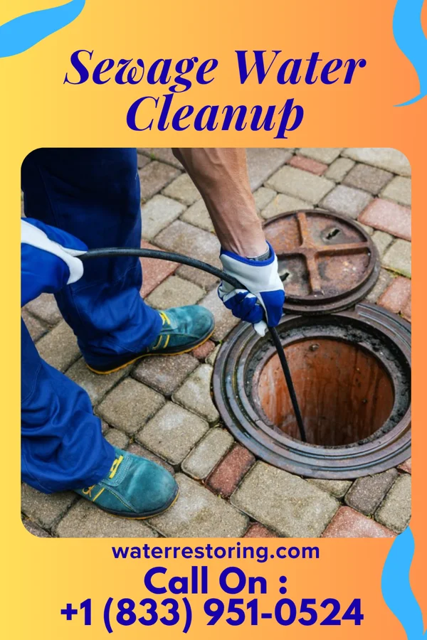 Sewage Water Cleanup in Irvington, VA
