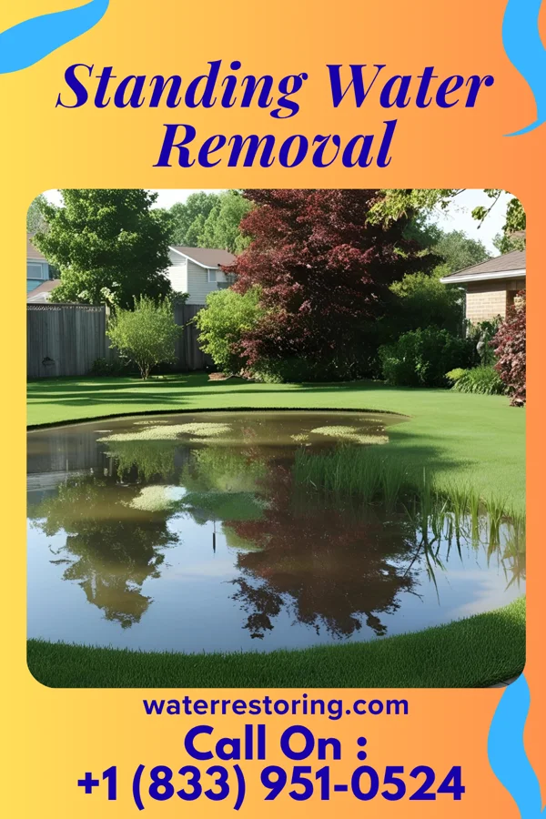 Standing Water Removal in Irvington, VA
